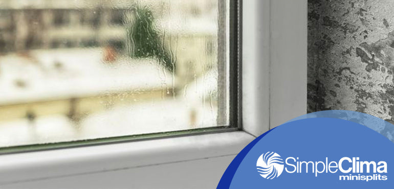 ¿Por qué la humedad en casa u oficina puede llegar a afectar tu salud?