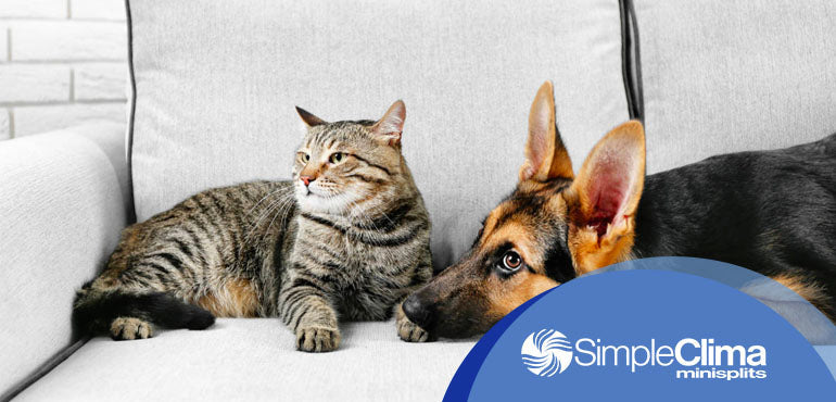 ¿Mascotas en casa? Cómo afecta el cuidado de tu aire acondicionado